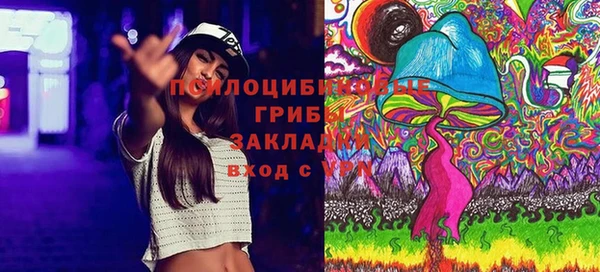 ПСИЛОЦИБИНОВЫЕ ГРИБЫ Белоозёрский