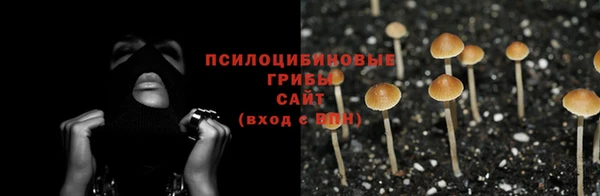 Альфа ПВП Беломорск