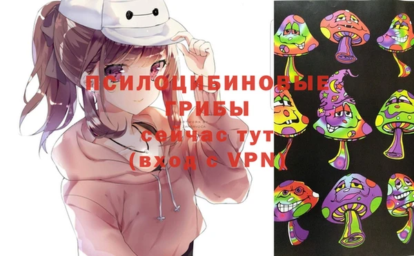 ПСИЛОЦИБИНОВЫЕ ГРИБЫ Белоозёрский
