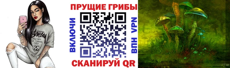 Псилоцибиновые грибы Psilocybine cubensis  Бирск 