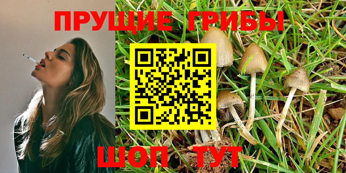 Галлюциногенные грибы прущие грибы Бирск