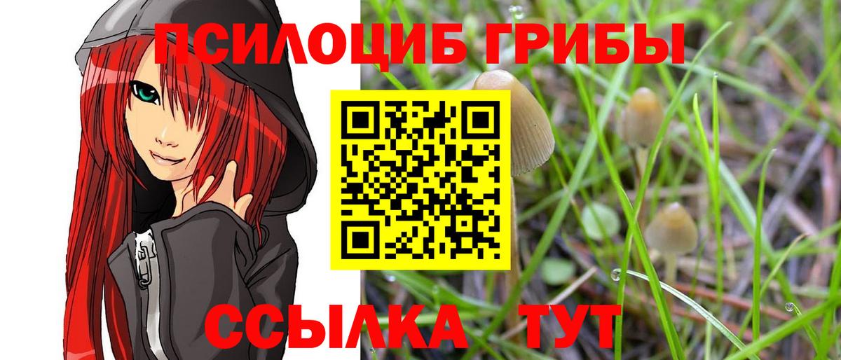 как найти наркотики  Псилоцибиновые грибы Psilocybe  Вход с VPN  Галлюциногенные грибы Magic Shrooms  Бирск 